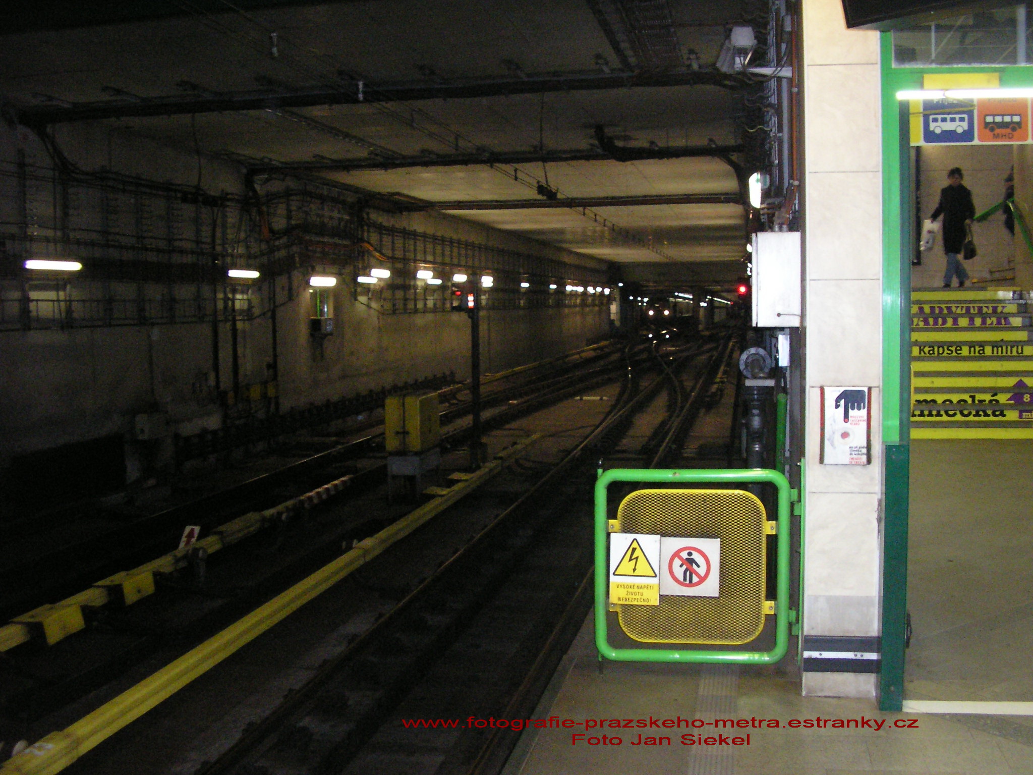 P1010493.jpg